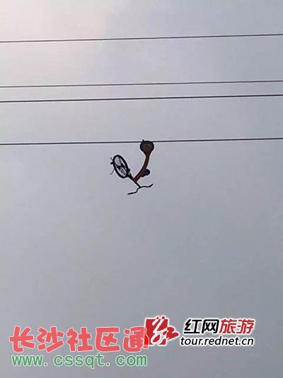 l(xing)Ȫ{ͻl(f) ο͸߿܇